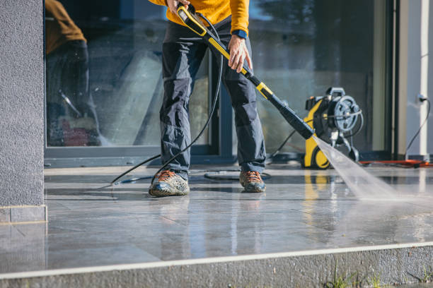 Best House Pressure Washing  in Elmo, TX