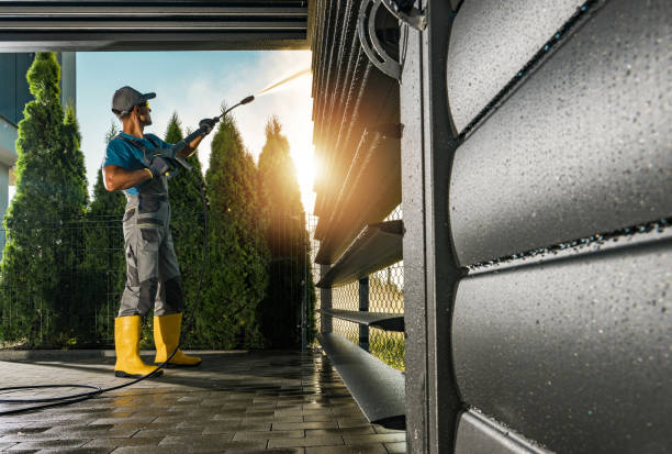 Best Residential Pressure Washing Services  in Elmo, TX