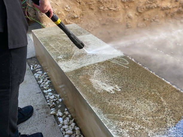 Best Exterior Home Cleaning  in Elmo, TX