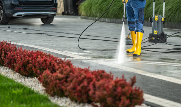Best Roof Power Washing Services  in Elmo, TX