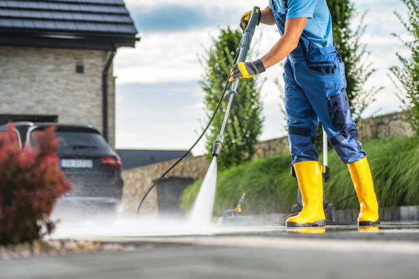 Best Residential Pressure Washing Services  in Elmo, TX